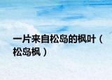 一片来自松岛的枫叶（松岛枫）