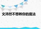 文沛然不想教你的魔法