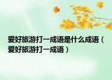 爱好旅游打一成语是什么成语（爱好旅游打一成语）