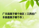 广丰县属于哪个地区（江西省广丰县是属于哪个市）