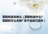 脂肪粒能去掉么（脂肪粒是什么? 脂肪粒怎么去掉? 会不会自己消失）