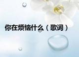 你在烦恼什么（歌词）