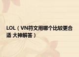 LOL（VN符文用哪个比较更合适 大神解答）