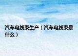 汽车电线束生产（汽车电线束是什么）