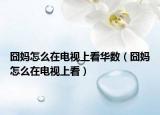 囧妈怎么在电视上看华数（囧妈怎么在电视上看）
