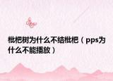 枇杷树为什么不结枇杷（pps为什么不能播放）