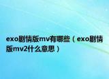 exo剧情版mv有哪些（exo剧情版mv2什么意思）