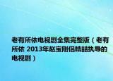 老有所依电视剧全集完整版（老有所依 2013年赵宝刚侣皓喆执导的电视剧）