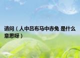 请问（人中吕布马中赤兔 是什么意思呀）