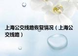 上海公交线路恢复情况（上海公交线路）