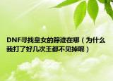 DNF寻找皇女的踪迹在哪（为什么我打了好几次王都不见掉呢）