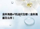 金杯海星a7机油尺在哪（金杯海星怎么样）