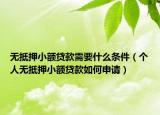 无抵押小额贷款需要什么条件（个人无抵押小额贷款如何申请）