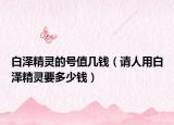 白泽精灵的号值几钱（请人用白泽精灵要多少钱）