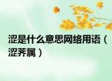 涩是什么意思网络用语（涩荠属）