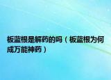 板蓝根是解药的吗（板蓝根为何成万能神药）