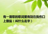 有一首歌的歌词里有别在我伤口上撒盐（叫什么名字）