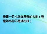我是一只小鸟你是我的大树（我是笨鸟你不是矮树枝）