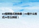 xv视频格式转换器（xv是什么格式xv怎么转码）