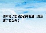 厕所堵了怎么办简单疏通（厕所堵了怎么办）