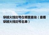 穿越火线封号在哪里查询（查看穿越火线封号名单）