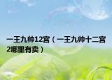 一王九帅12宫（一王九帅十二宫2哪里有卖）