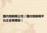 国内物联网公司（国内物联网平台企业有哪些）