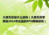 大唐无双是什么游戏（大唐无双零 网易2014年出品的RPG网络游戏）
