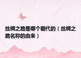 丝绸之路是哪个朝代的（丝绸之路名称的由来）