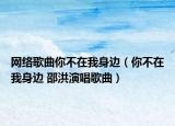 网络歌曲你不在我身边（你不在我身边 邵洪演唱歌曲）