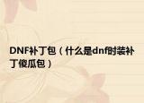 DNF补丁包（什么是dnf时装补丁傻瓜包）