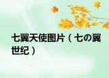 七翼天使图片（七の翼世纪）