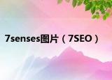 7senses图片（7SEO）