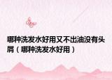哪种洗发水好用又不出油没有头屑（哪种洗发水好用）