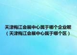 天津梅江会展中心属于哪个企业呢（天津梅江会展中心属于哪个区）