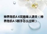 神界危机4.6攻略单人通关（神界危机4.5新手怎么过啊）