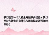 梦幻西游一个九转金丹加多少经验（梦幻西游九转金丹有什么作用怎样能得到九转金丹）