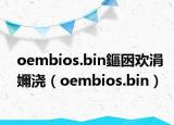 oembios.bin鏂囦欢涓嬭浇（oembios.bin）