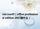 microsoft（office professional edition 2003是什么）