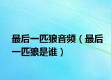 最后一匹狼音频（最后一匹狼是谁）