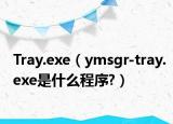 Tray.exe（ymsgr-tray.exe是什么程序?）