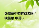 铁苋菜中药有别名吗（铁苋菜 中药）