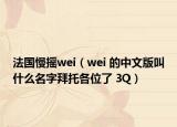 法国慢摇wei（wei 的中文版叫什么名字拜托各位了 3Q）