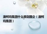 澳柯玛集团什么级别国企（澳柯玛集团）