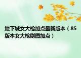 地下城女大枪加点最新版本（85版本女大枪刷图加点）