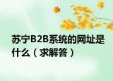 苏宁B2B系统的网址是什么（求解答）