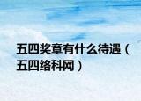 五四奖章有什么待遇（五四络科网）