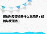 倾销与反倾销是什么意思啊（倾销与反倾销）