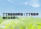 丁丁和张张的职业（丁丁和张玮有什么关系?）