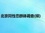 北京同性恋群体调查(续)